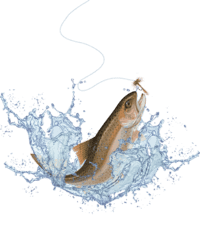 Иллюстрация рыболова с уловом на главном экране FishClub